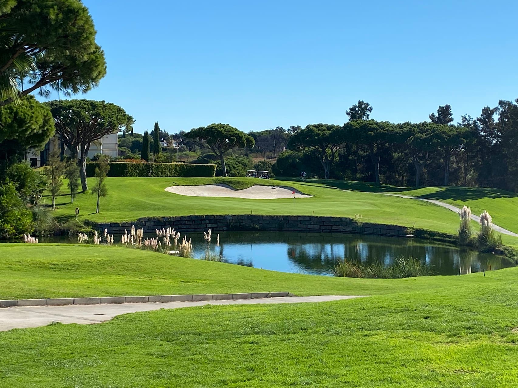 Lush green golf course at sunset